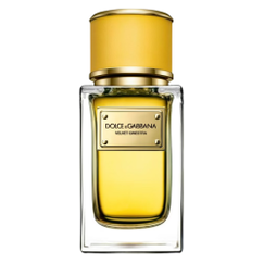 Dolce & Gabbana Velvet Ginestra For Women Eau De Parfum 50ml