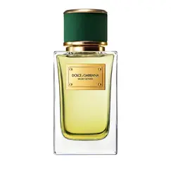 Dolce & Gabbana Velvet Vetiver Eau De Parfum 100ml